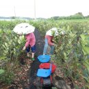 장신농장 이미지