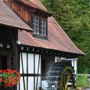 숲속풍경 이미지