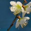 청계천길 이미지