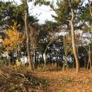 전라농장 이미지