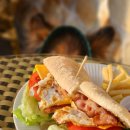 베스트 애견 이미지