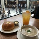 남악스타 | 아웃백 런치 세트 완벽 가이드! 메뉴 추천부터 할인 꿀팁, 지점별(코엑스, 강동, 남악, 춘천) 후기 총정리