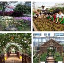 농업기술센터 3층 대강당 이미지