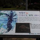 명성주산지민박 이미지