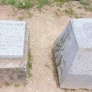 대지-걷기 이미지