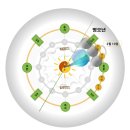 한 잔의 쉼, 한 스푼의 봄 | 우수 절기 뜻·시기·기후｜봄을 느끼며, 차 한잔 명상 한 스푼