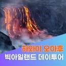 하늘아래 첫동네 꿩밭 | 하와이 겨울가족여행 필수코스, 빅아일랜드 데이투어 완벽후기 🌋 하루로 끝내는 화산·정글·바다