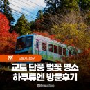 먼마루 벚꽃거리 문 | 교토 여행 가볼만한곳 벚꽃 단풍 명소 하쿠류엔 후기 입장료 예약방법 정보