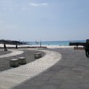 참살이쌈밥 이미지