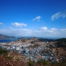 [12월 25일]외로운 청년....산에서 바라본 완도읍내 모습... 이미지