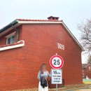 4224 | 용산공원 반환부지 목련 개화현황｜포토존 위치·사진 명소 후기 (지금 가야 하는 이유)