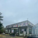 수통골;조개손칼국수