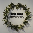 스포독 이미지