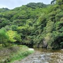 백두상회 - 포항시 북구 용두산길 40 | 백두상회
