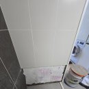 파스텔라 스튜디오 이미지