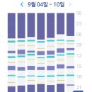290일 아기, 다울아이 육아 줌코칭 내돈내산 후기