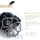 H0049 이미지