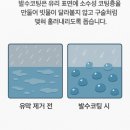 디테일링케이(Detailing K) | 대전디테일링샵 GV70 빗길 시야 발수코팅 필요성