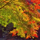 여행을 기다리시는 회원님들에게 알립니다. 이미지