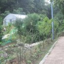 아래쇠죽골천 이미지