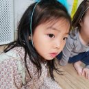 희민농장 Daum카페