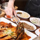 황금코다리 이미지