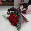 포코로코 이미지