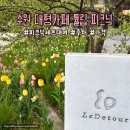 수원-0072 | 수원 광교대형카페 튤립 피크닉세트대여 르디투어