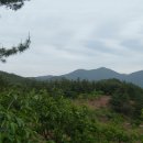 청솔주유소 이미지