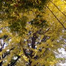 인곡경로당 이미지