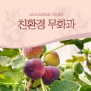 기찬환경 이미지