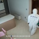 클린케어존