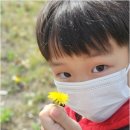 무지개숲어린이집 - 고양시 일산동구 | 자연 속에서 성장하는 우리 아이, 인성 교육의 전당 무지개숲어린이집 탐방