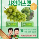 삼촌네야채청과 이미지