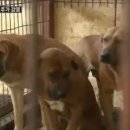 김명석농장 이미지