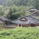 최석남 이미지
