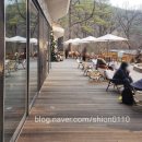 더숲애플트리어린이집 | 수락휴 예약 트리하우스 이어 두 번째 도전 13호 개별동 리뷰