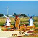 환상의노을 이미지