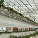 범준농장 이미지