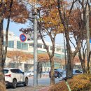 용인운전면허시험장 사거리 이미지