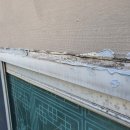 제니스타운 이미지