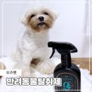 강아지냄새제거를 위한 오즈펫 무향 반려동물탈취제 후기