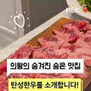 탄성한우 이미지
