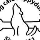 똥강아지애견 이미지