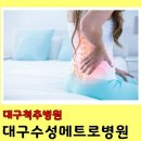 메트로동물병원