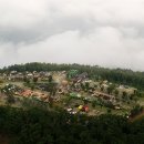 정선군생태체험학습장캠핑장 이미지