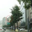 NC당구클럽 이미지