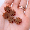 네잎크로버 소프트 이미지