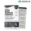 유한 이미지