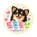 퍼플러피 | 김포 애견카페 퍼플러피 | 잔디 깔린 야외 애견 운동장 있는 애견카페 내돈내산 후기